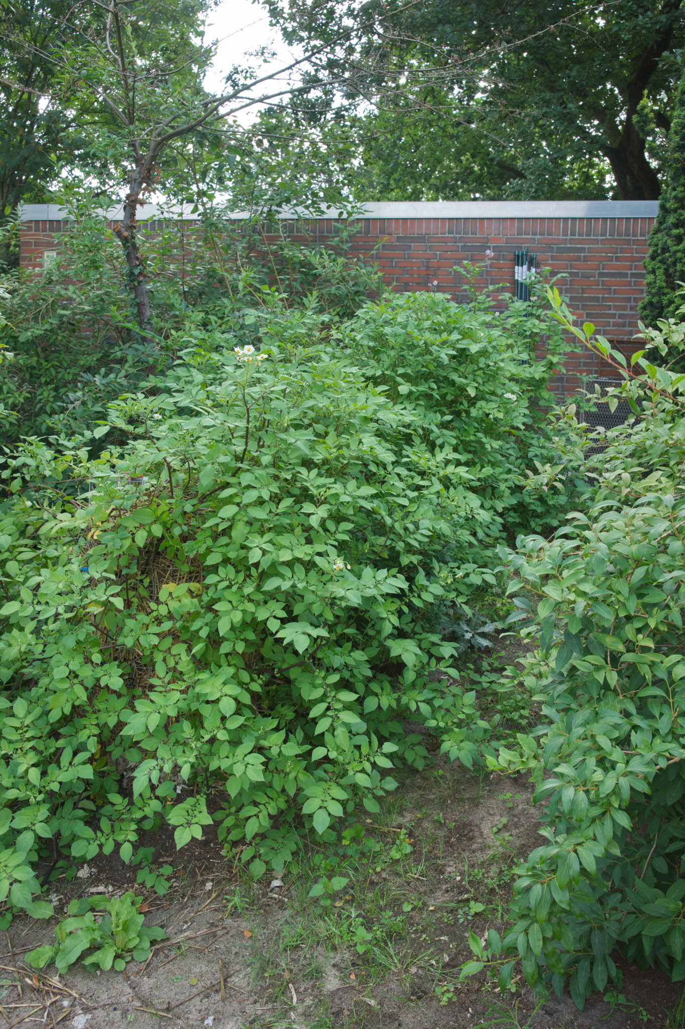 20210722 Bergheide 007