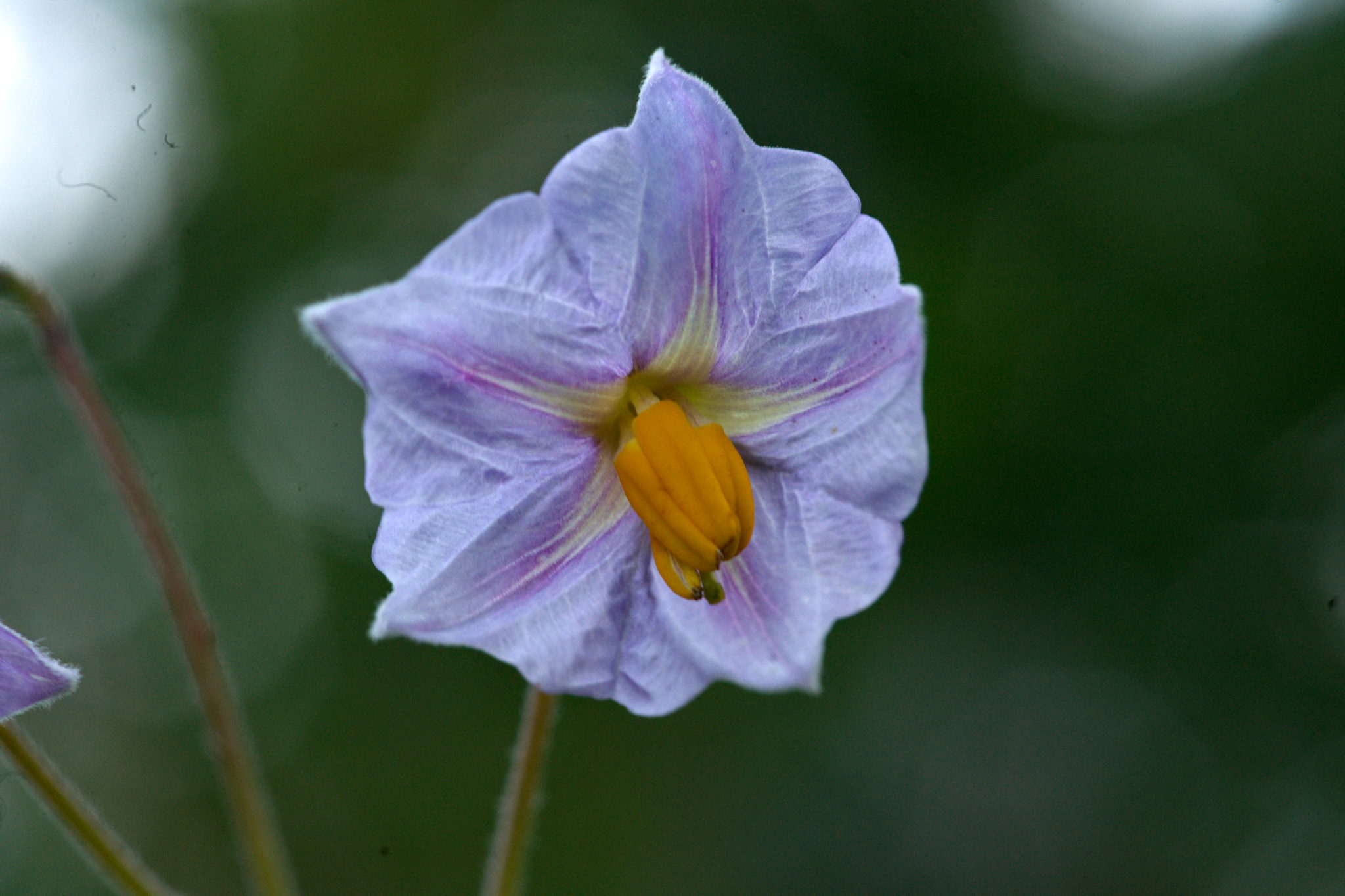 20210722 Bergheide 012