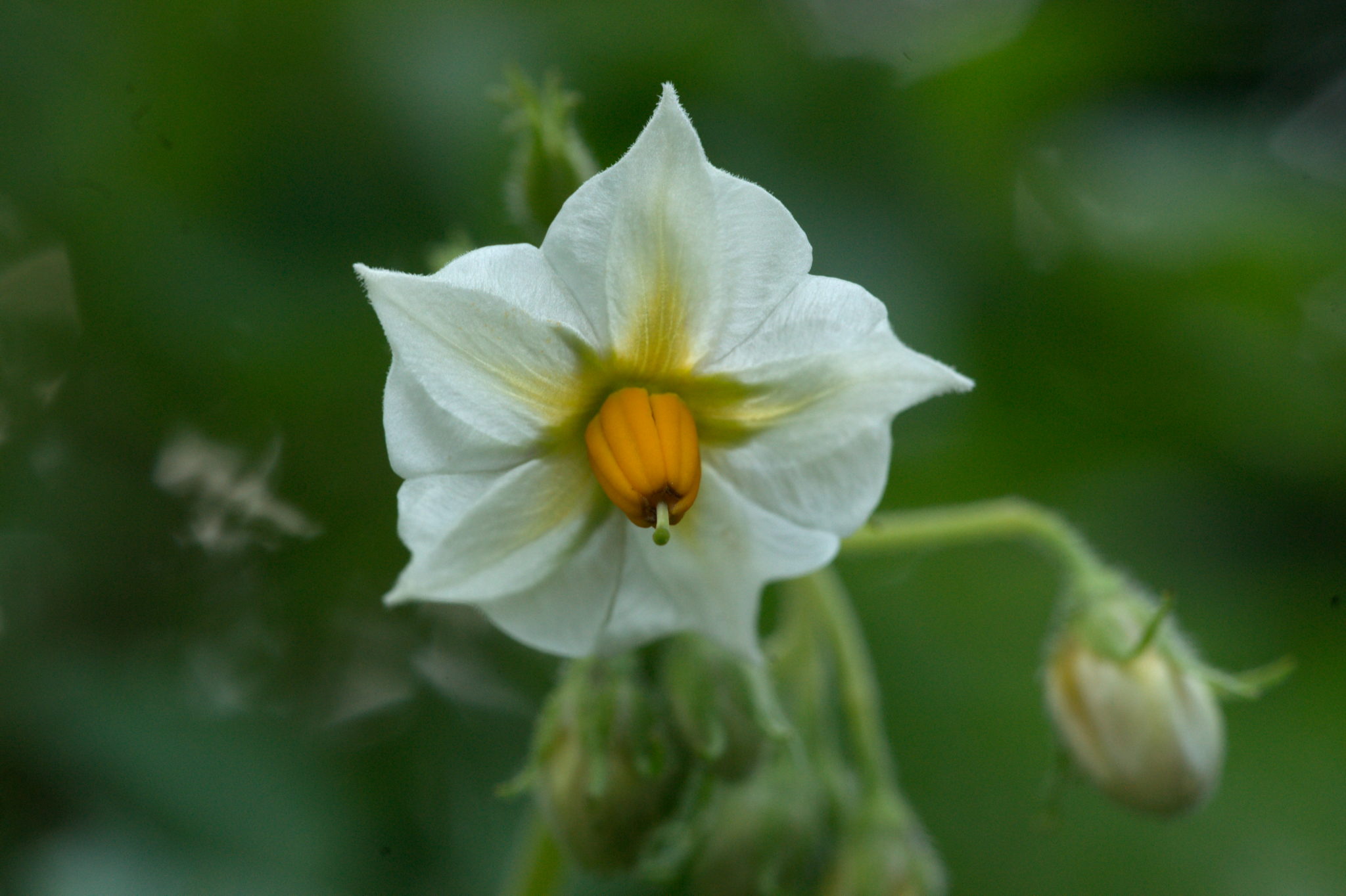 20210722 Bergheide 021