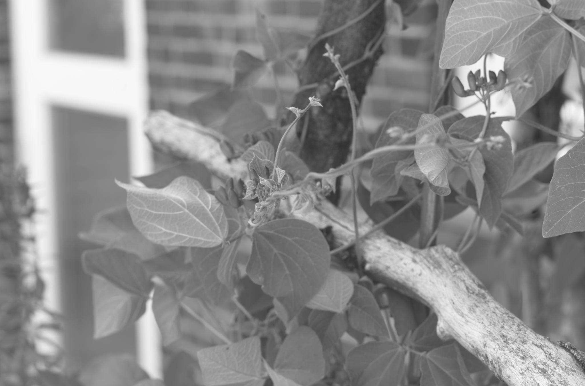 20220803 Gruen(t)raum Heimfeld 04 1