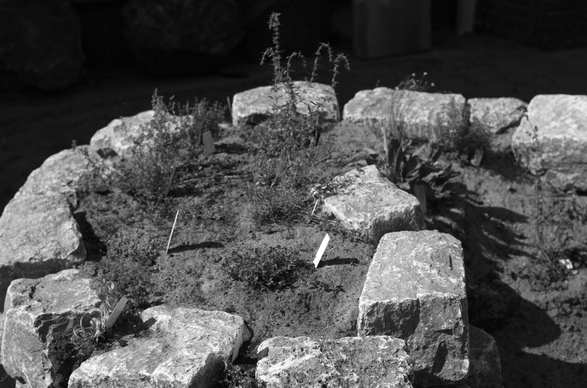 Grün(t)raum Heimfeld - ein Permakultur-Projekt