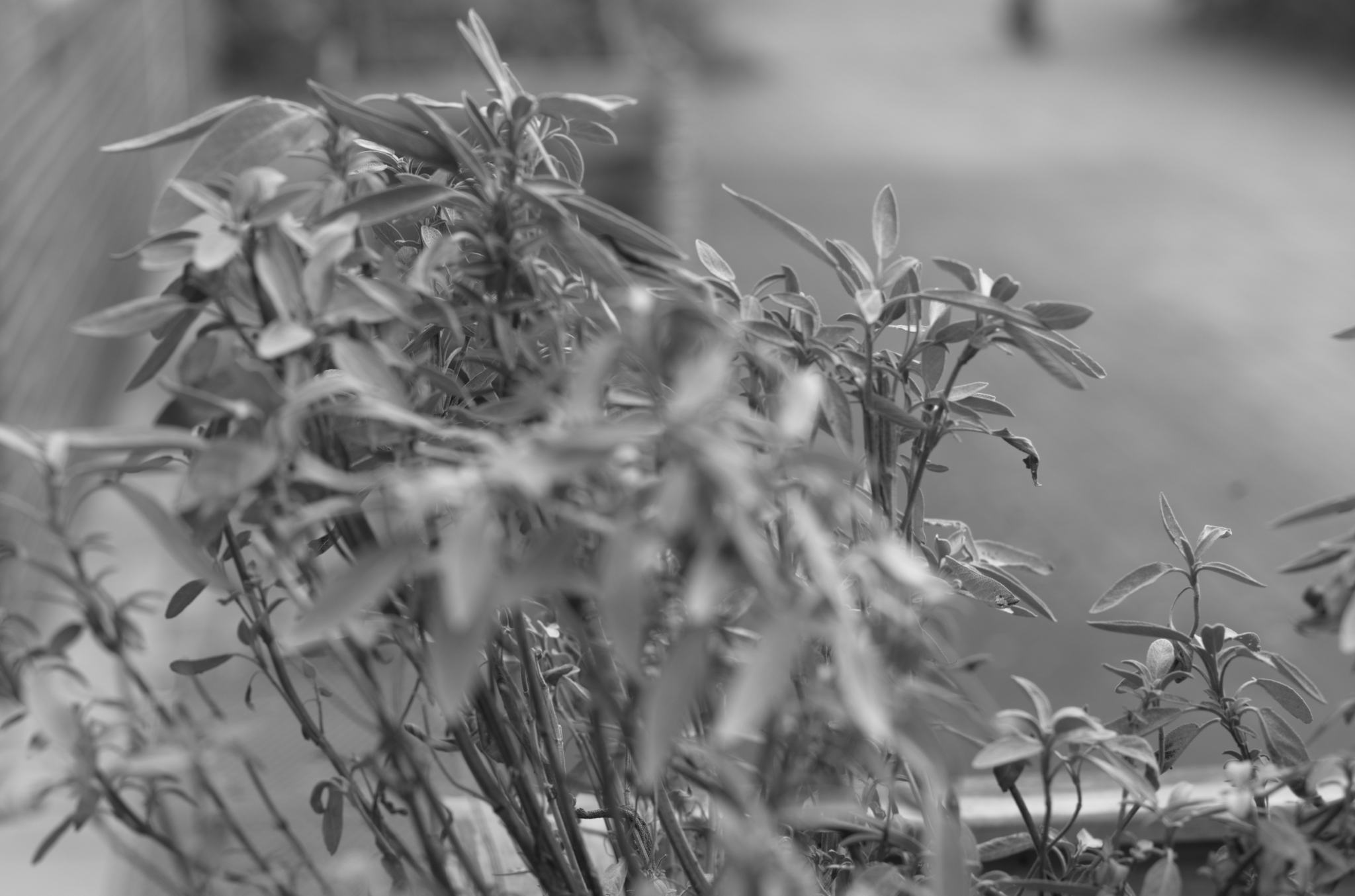 20211215 Gruen(t)raumHeimfeld 00