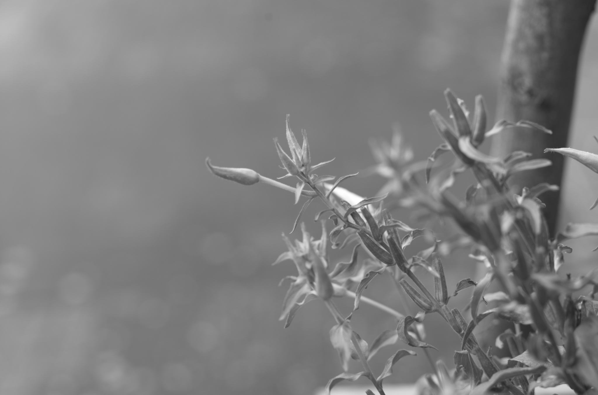 20211215 Gruen(t)raumHeimfeld 02