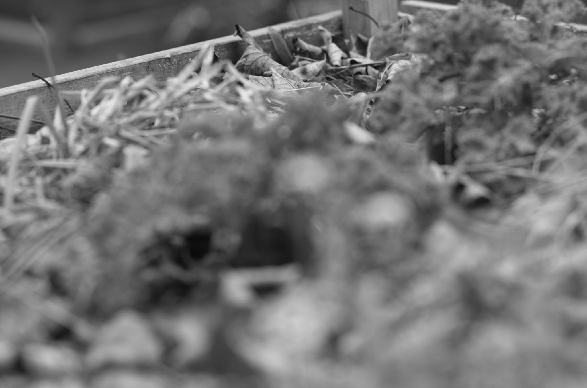 20211215 Gruen(t)raumHeimfeld 18