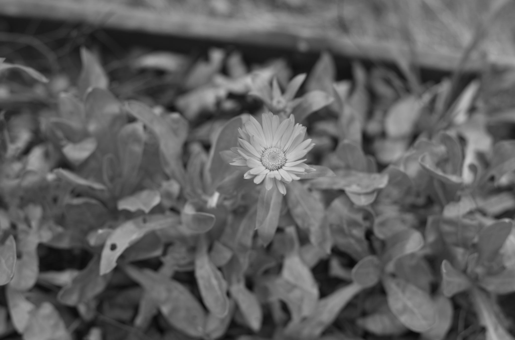 20211215 Gruen(t)raumHeimfeld 19