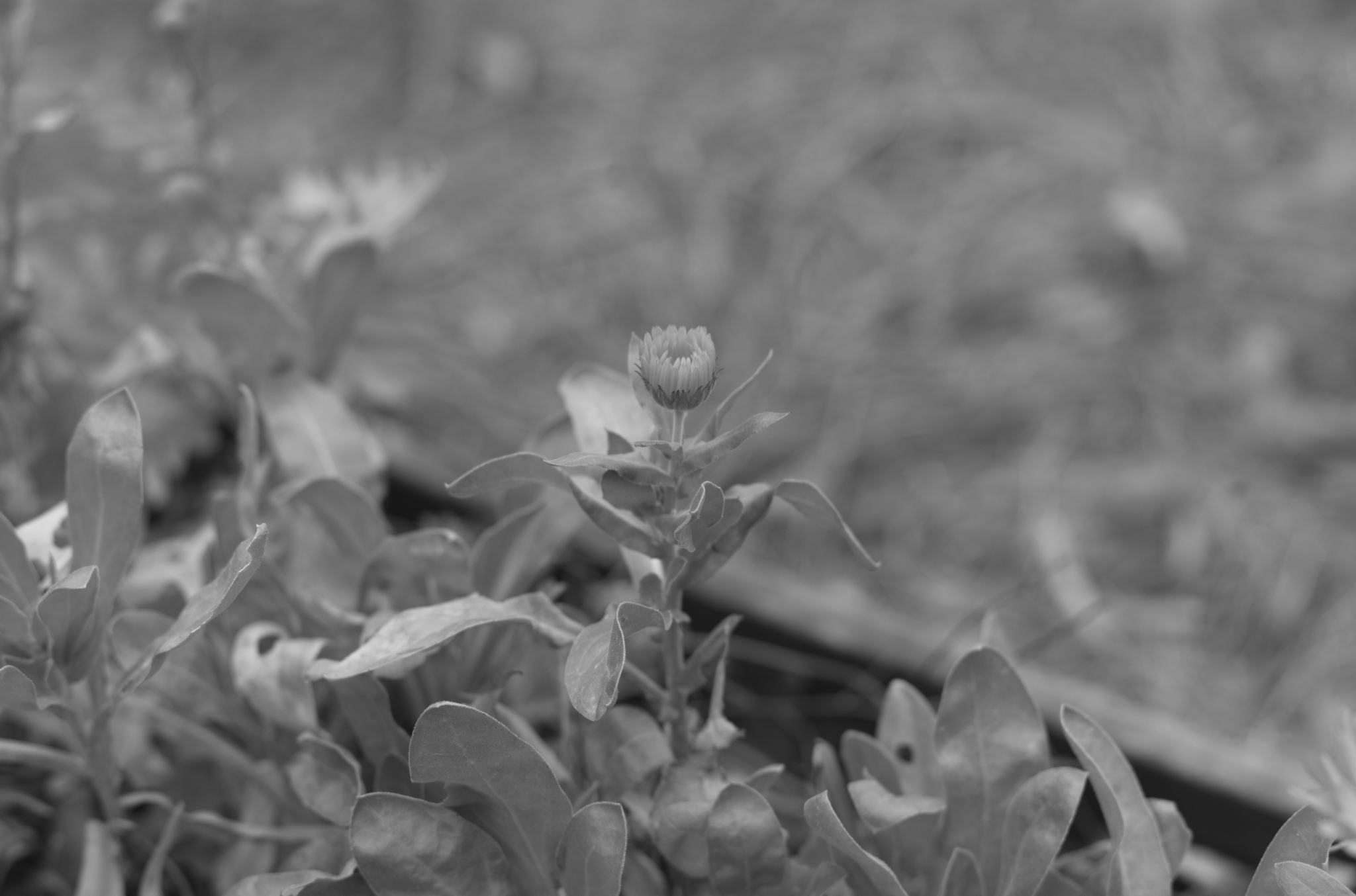 20211215 Gruen(t)raumHeimfeld 20