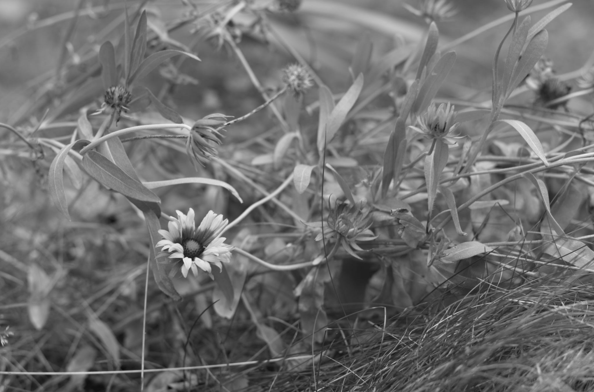 20211215 Gruen(t)raumHeimfeld 24