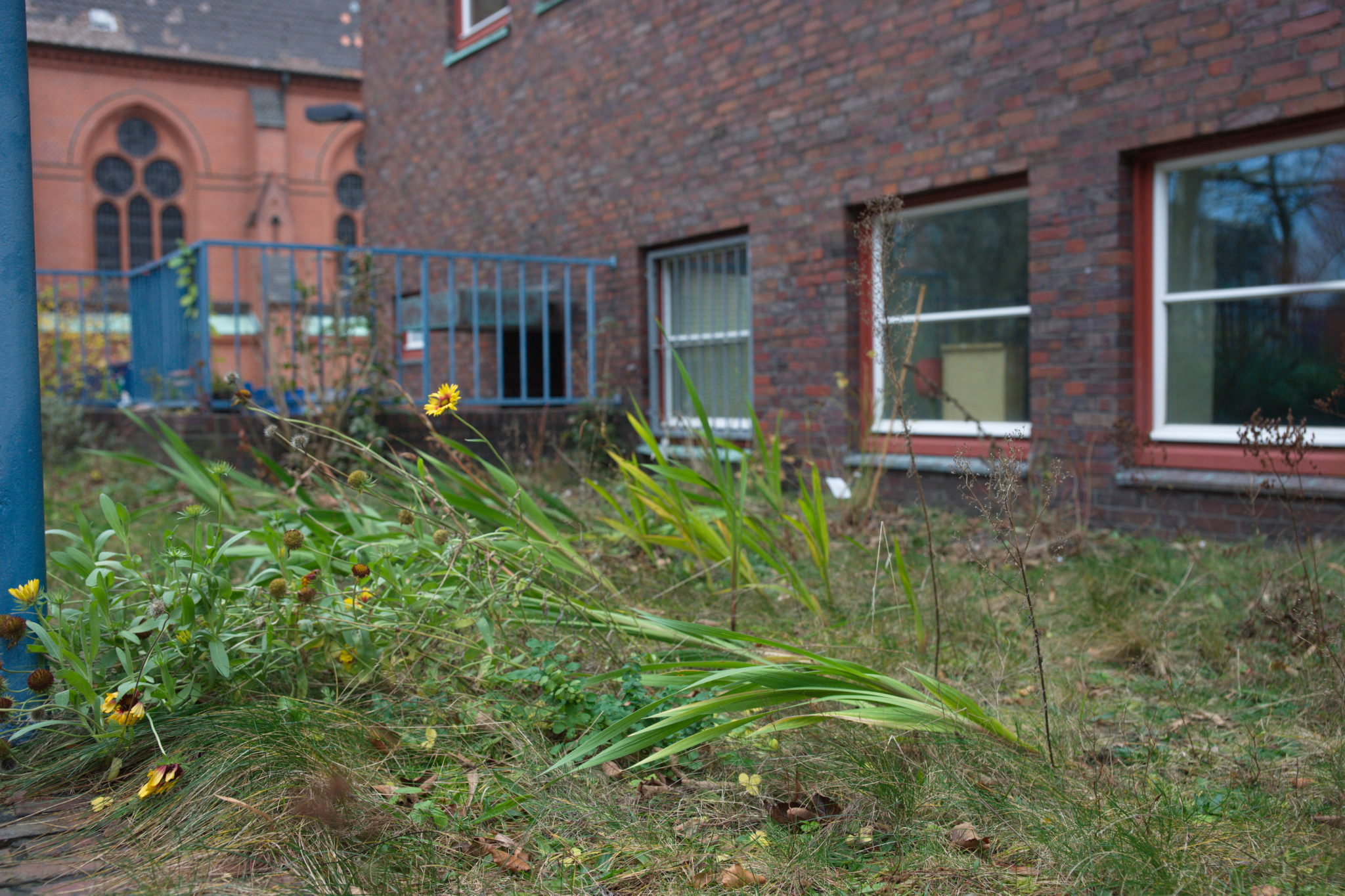 20211215 Gruen(t)raum Heimfeld 006