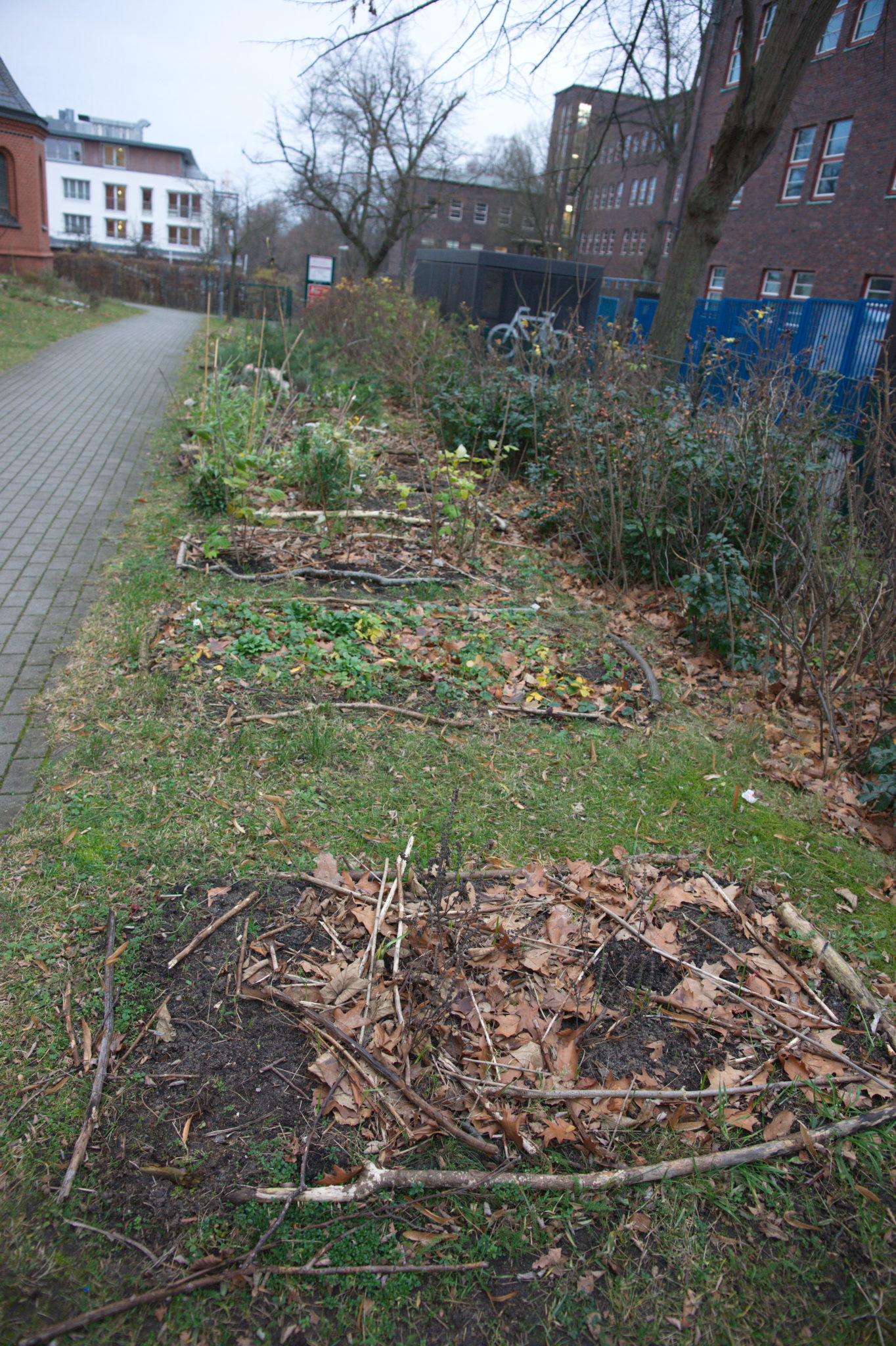 20211215 Gruen(t)raum Heimfeld 008