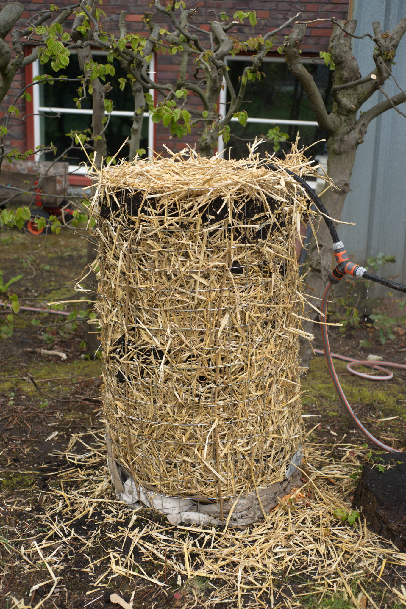 20210506 GruentraumHeimfeld 025