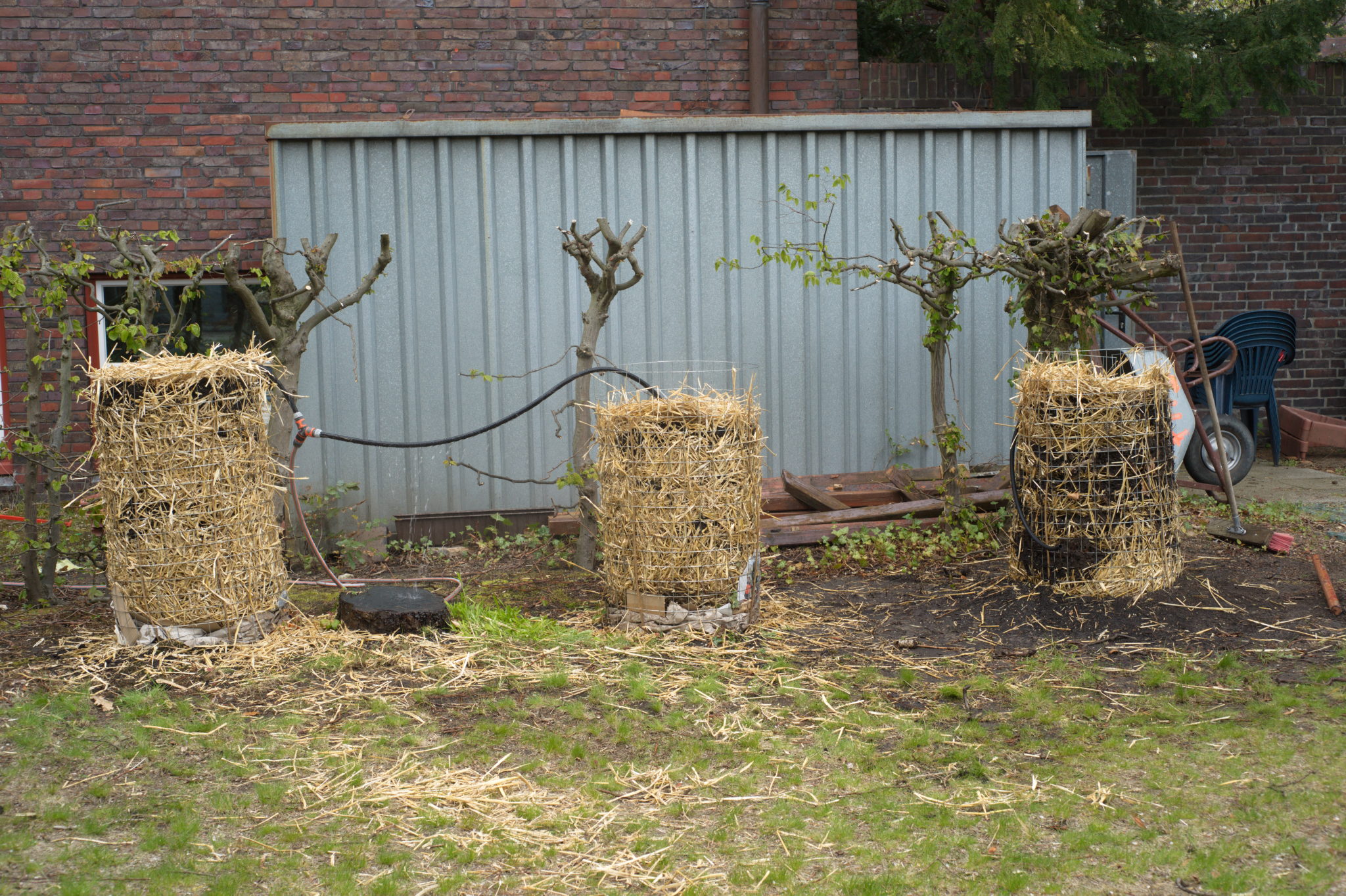 20210506 GruentraumHeimfeld 028