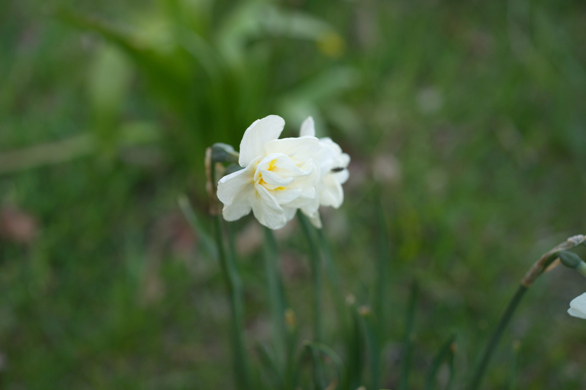 20210506 GruentraumHeimfeld 043