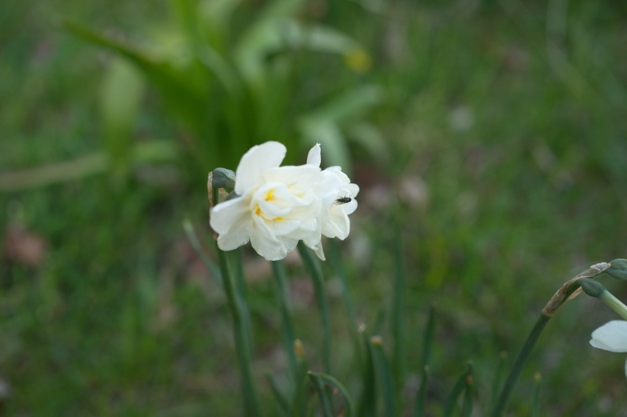 20210506 GruentraumHeimfeld 044