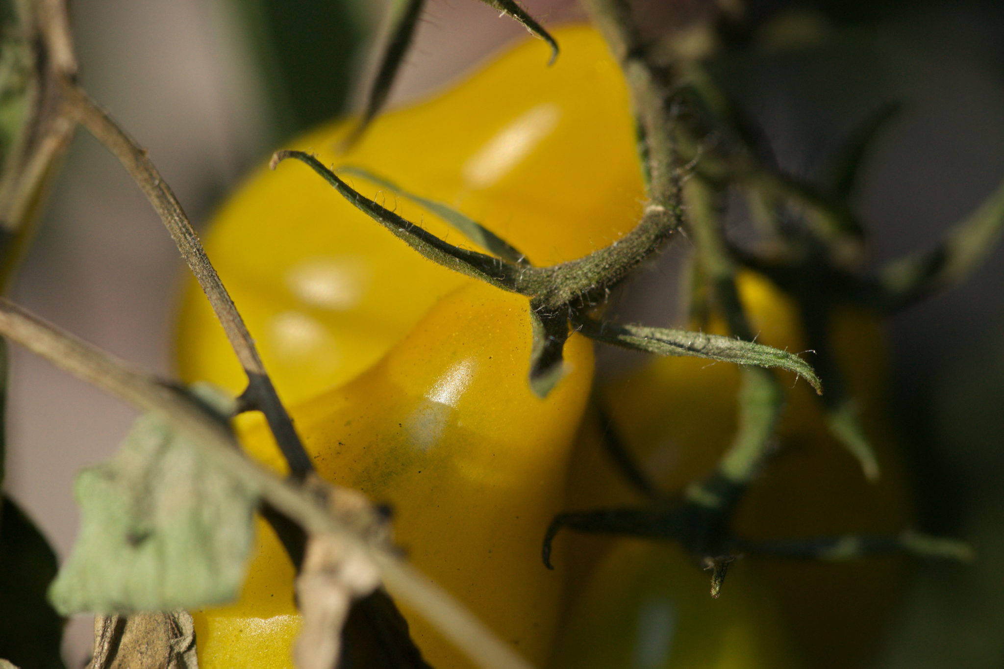 20219022 Gruen(t)raum Heimfeld 9526