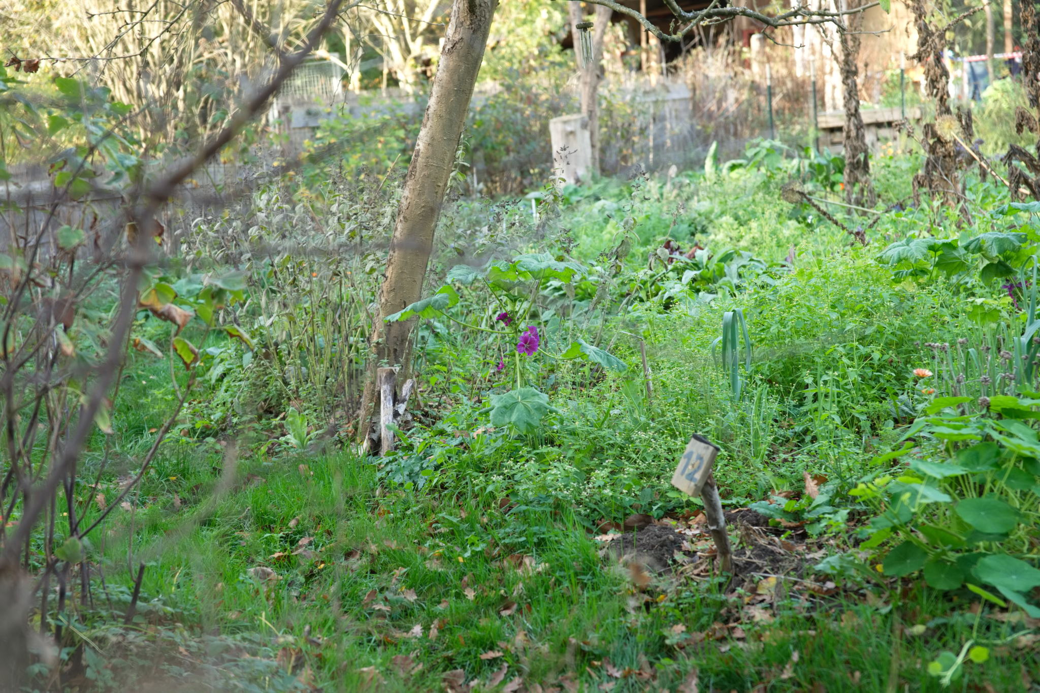 Fotos um den Schulungsort Steyerberg herum
