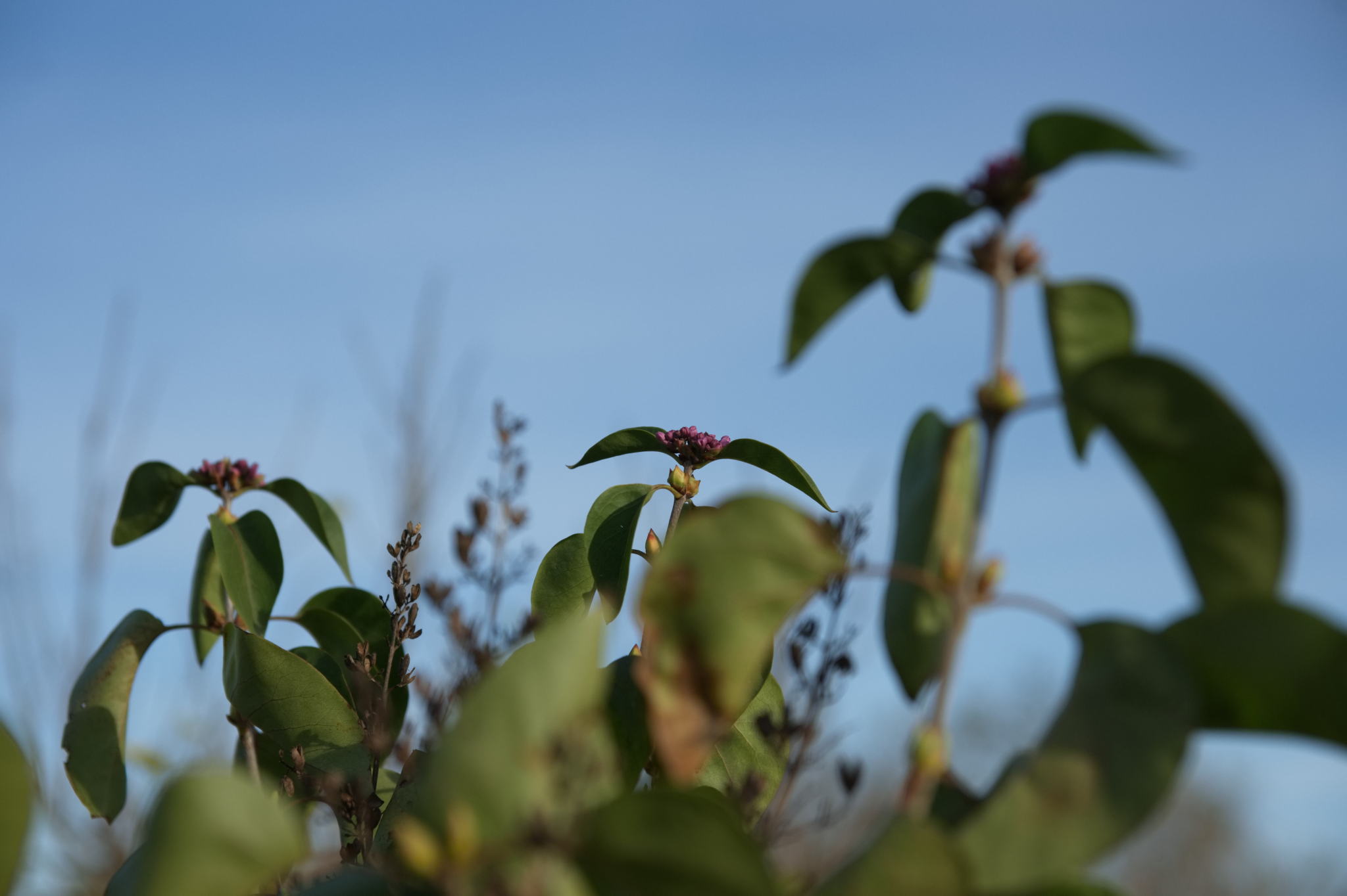 20221112 PK BjN StartWorkshop 47