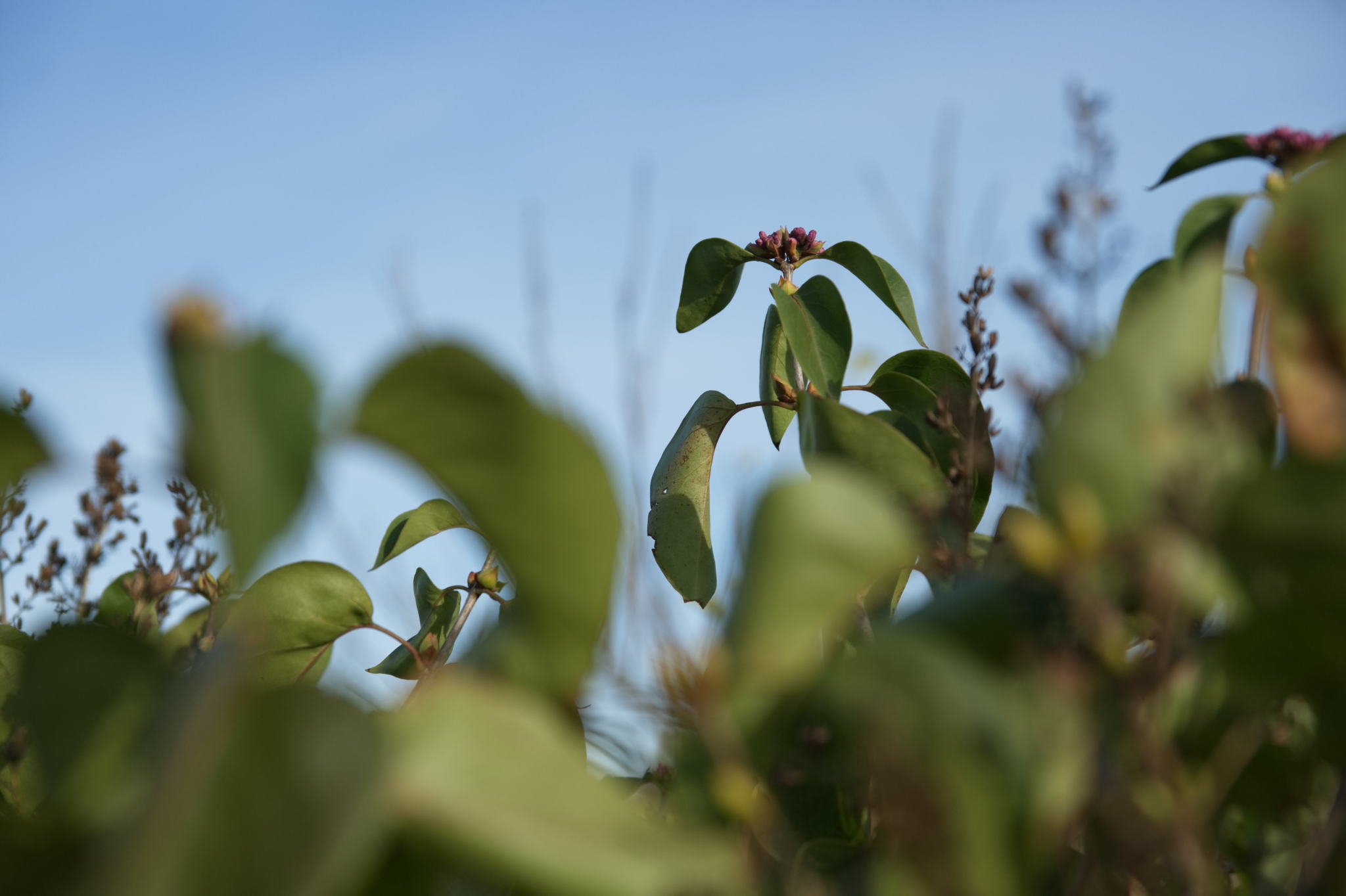 20221112 PK BjN StartWorkshop 48