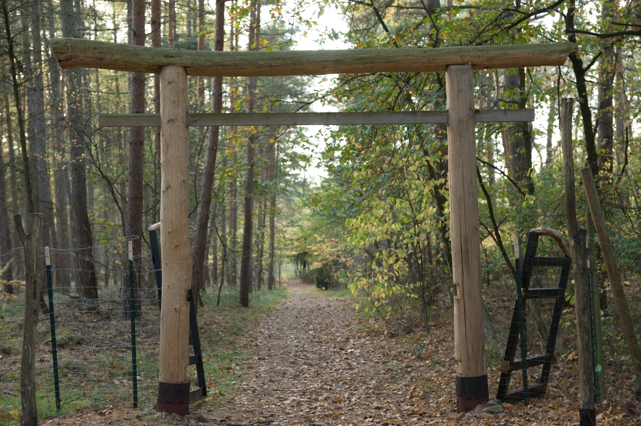 20221112 PK BjN StartWorkshop 50