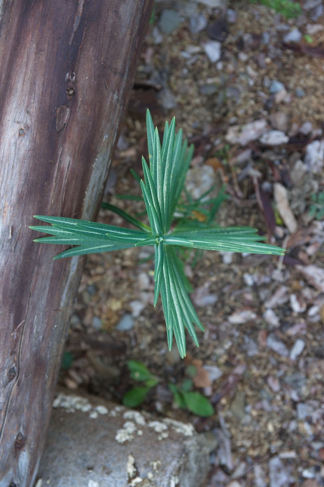 20221112 PK BjN StartWorkshop 53