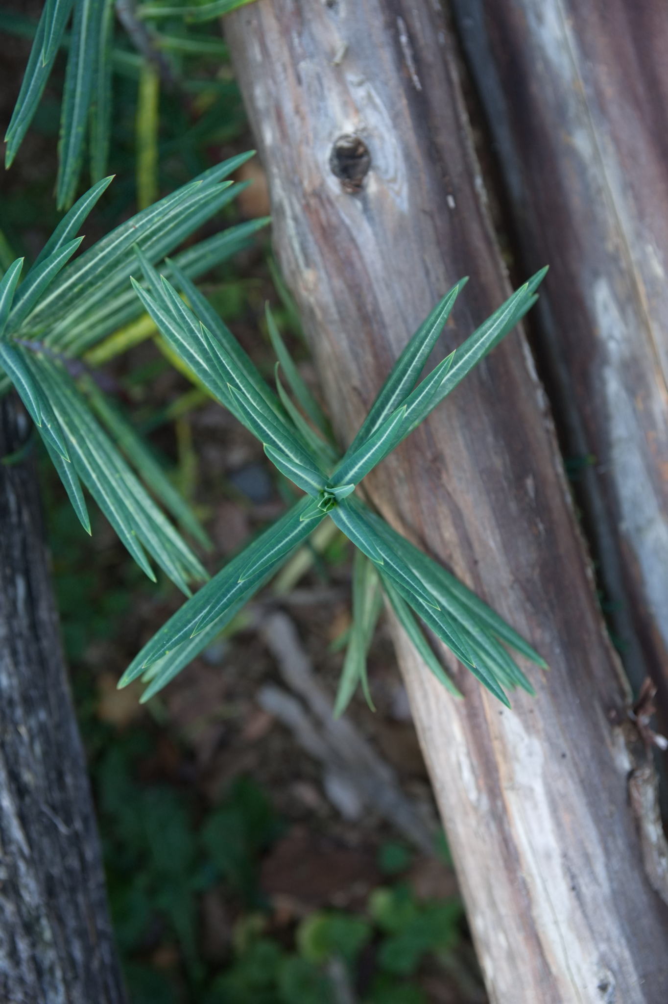 20221112 PK BjN StartWorkshop 54