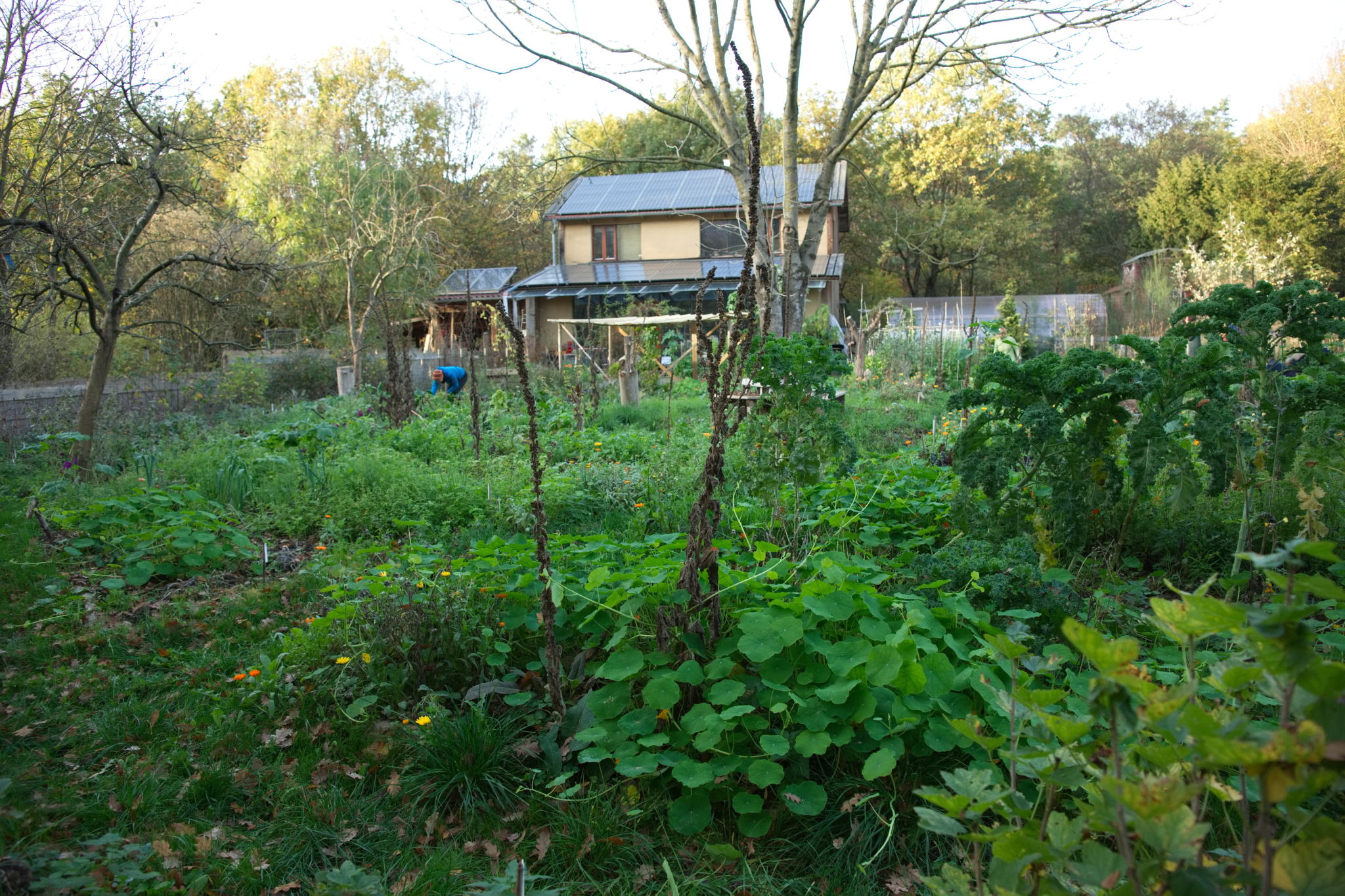 20221112 PK BjN StartWorkshop 55