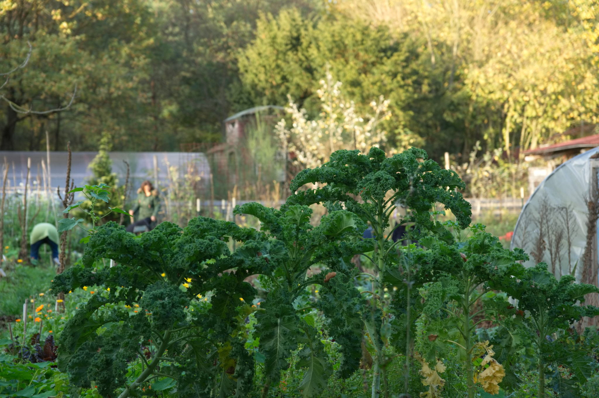 20221112 PK BjN StartWorkshop 56