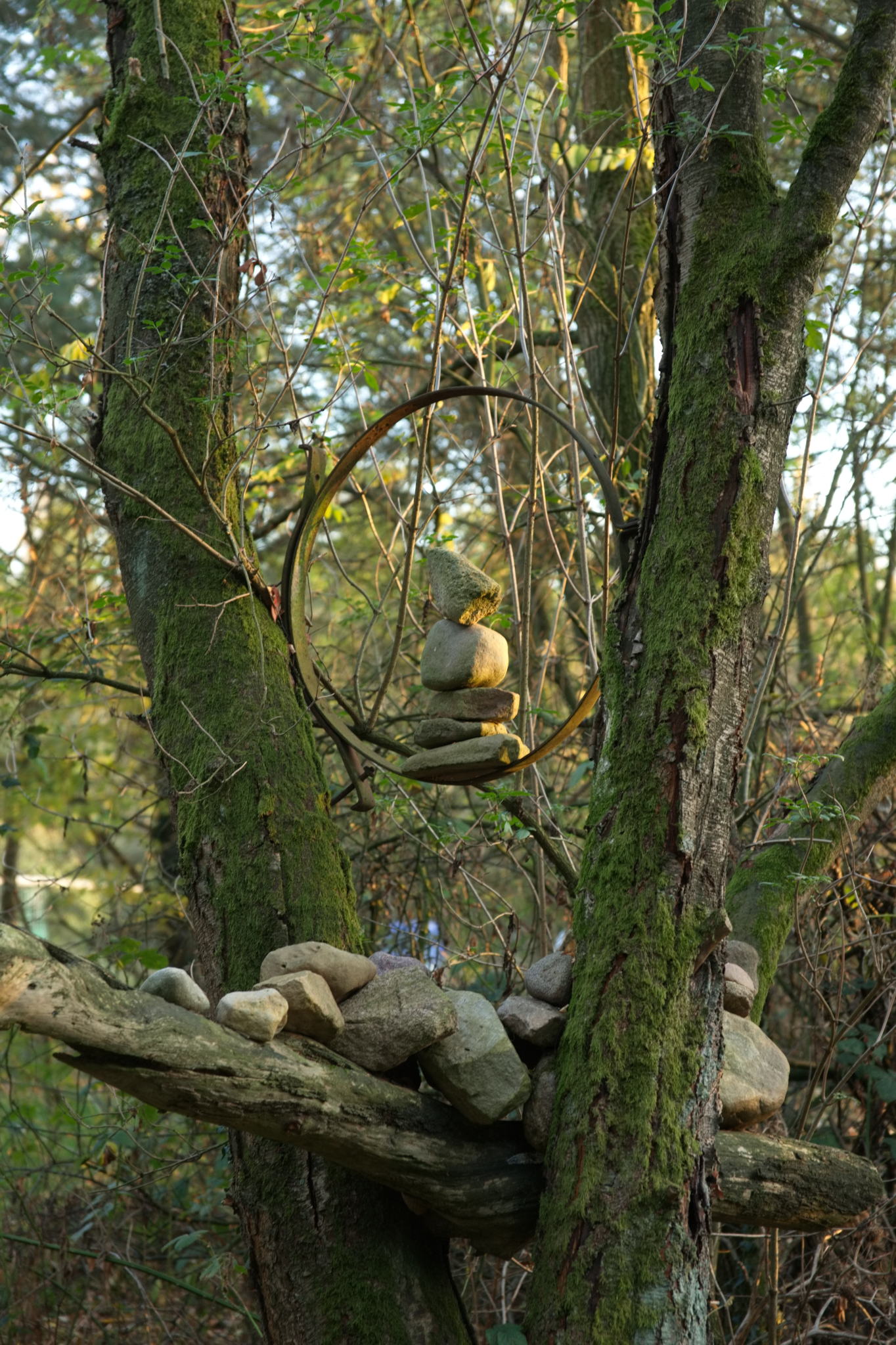 20221112 PK BjN StartWorkshop 58