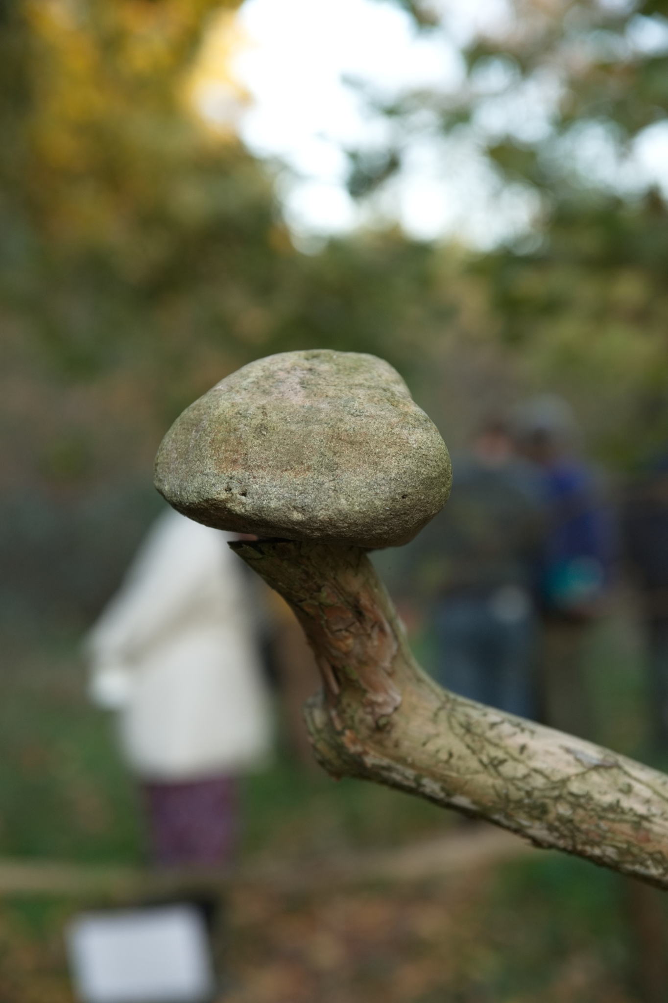 20221112 PK BjN StartWorkshop 59