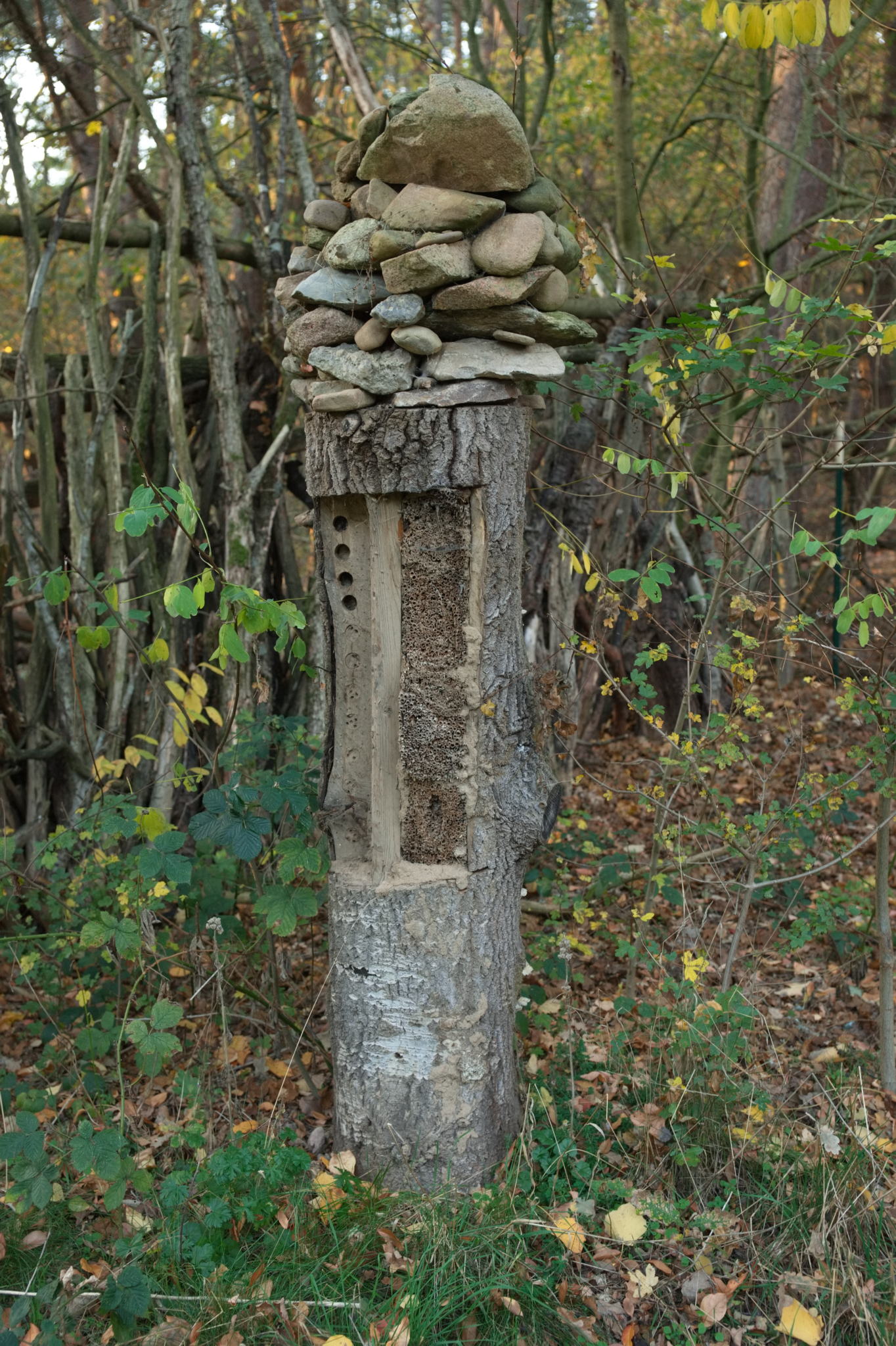 20221112 PK BjN StartWorkshop 61