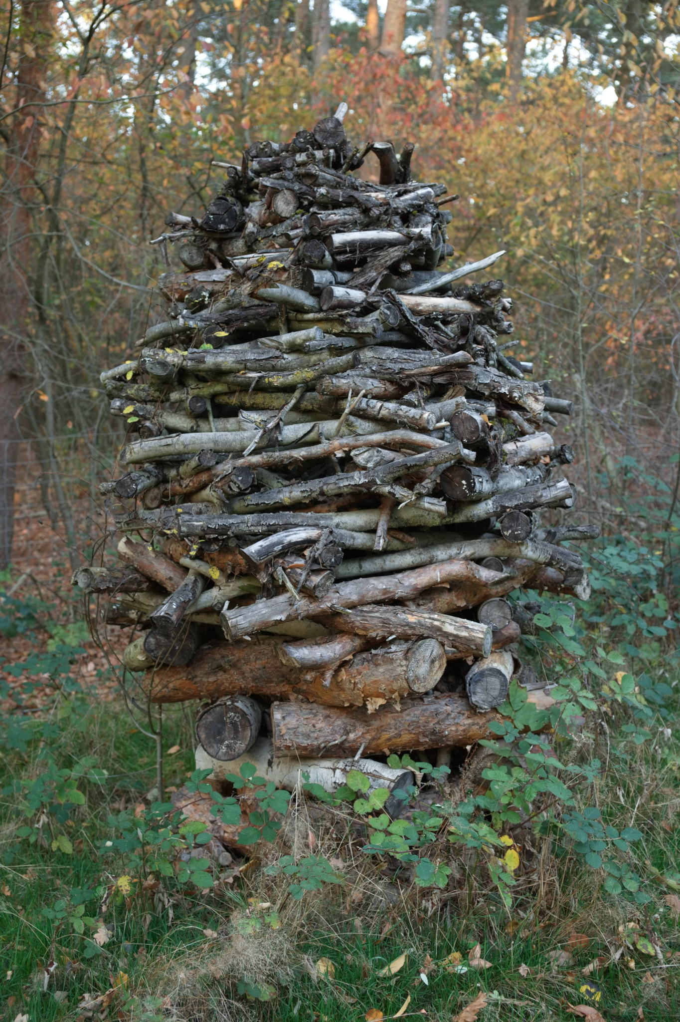 20221112 PK BjN StartWorkshop 62