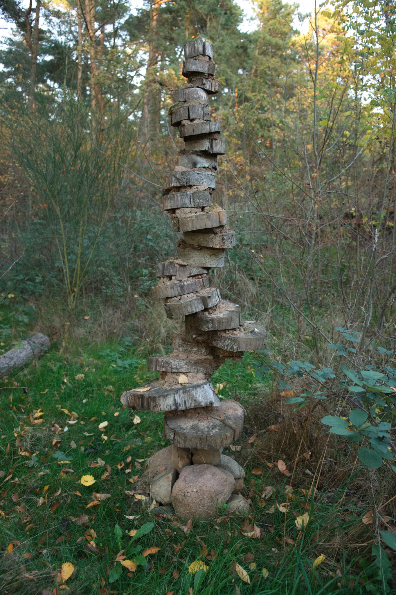 20221112 PK BjN StartWorkshop 64