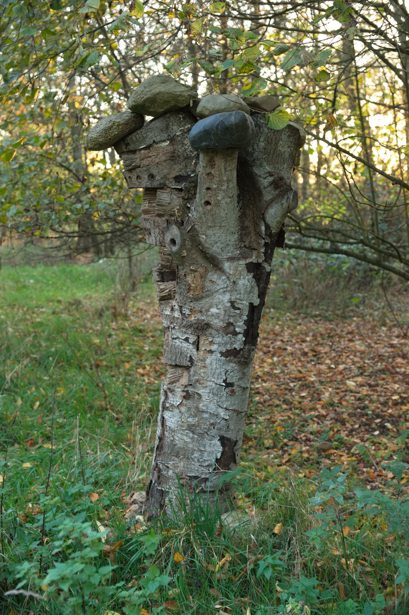 20221112 PK BjN StartWorkshop 65