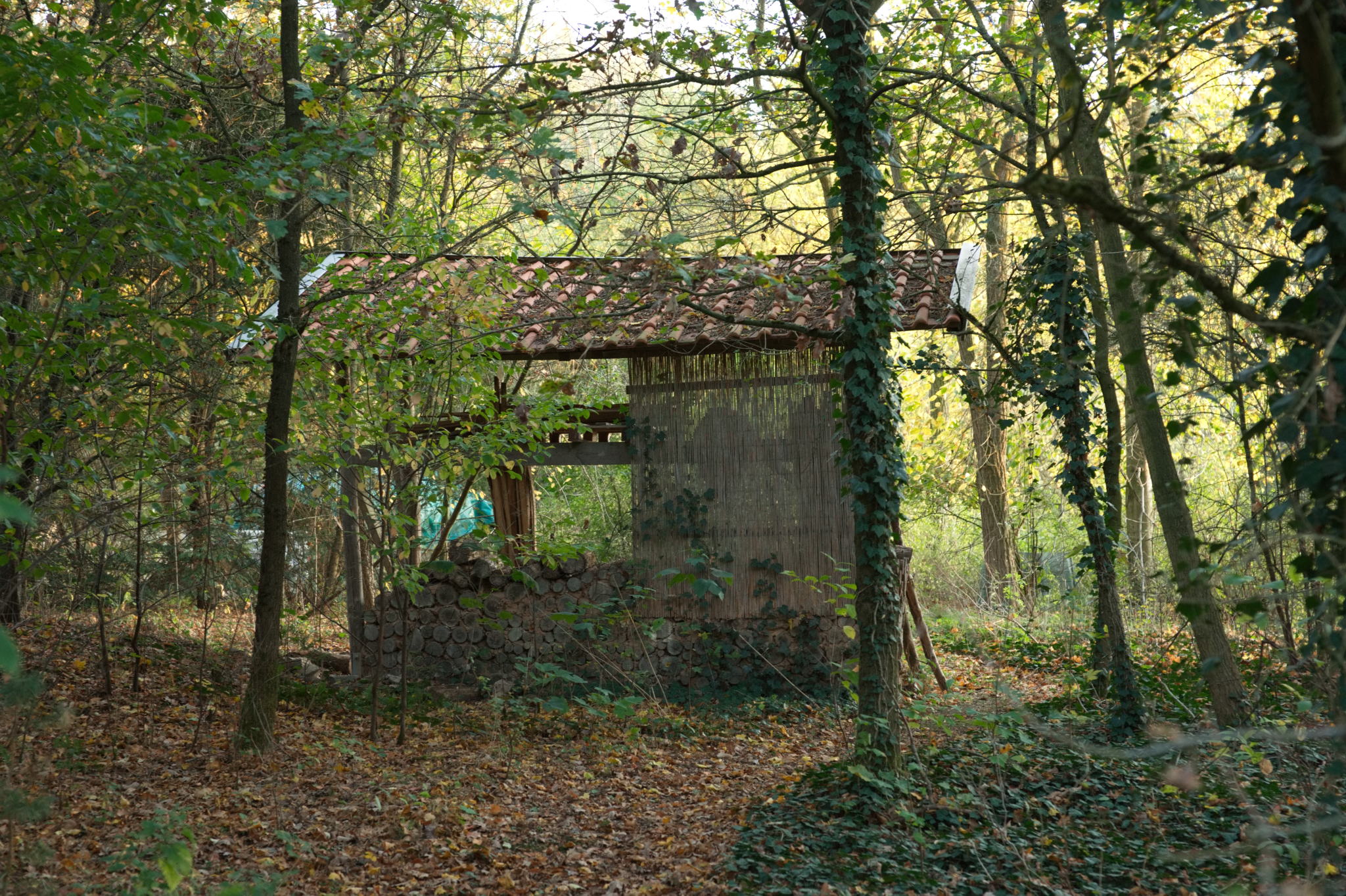 20221112 PK BjN StartWorkshop 67