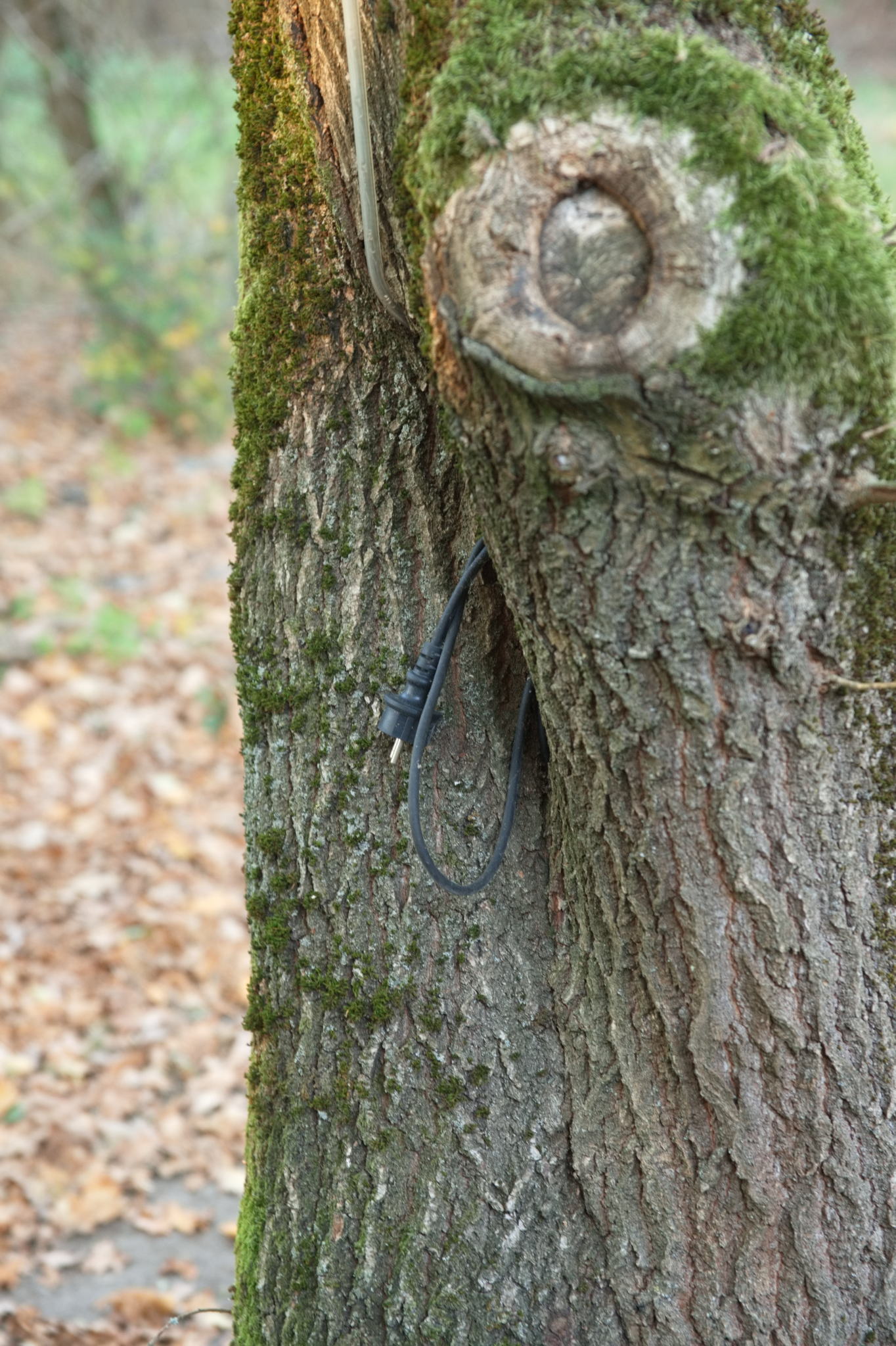 20221112 PK BjN StartWorkshop 68