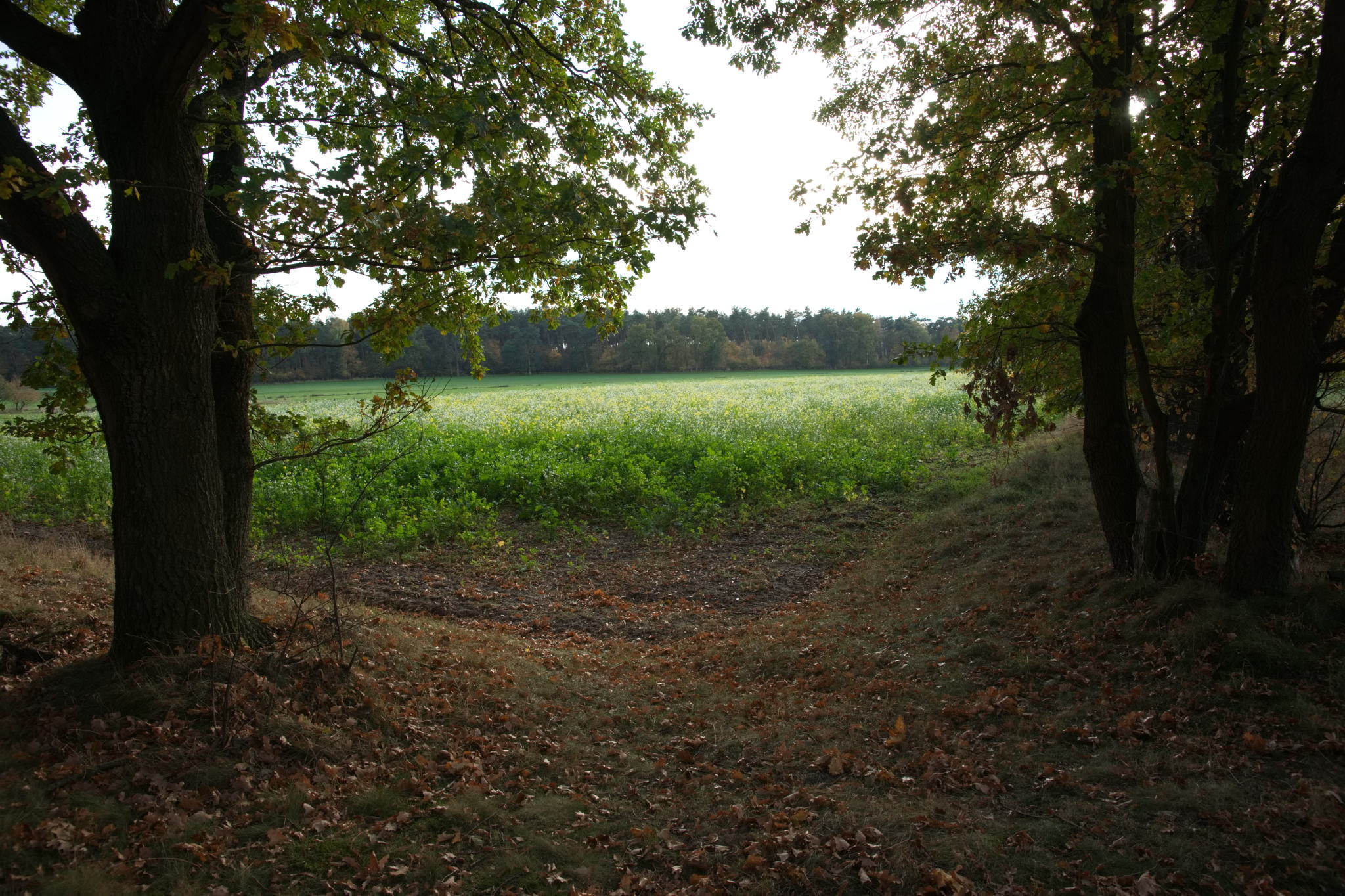 20221112 PK BjN StartWorkshop 82