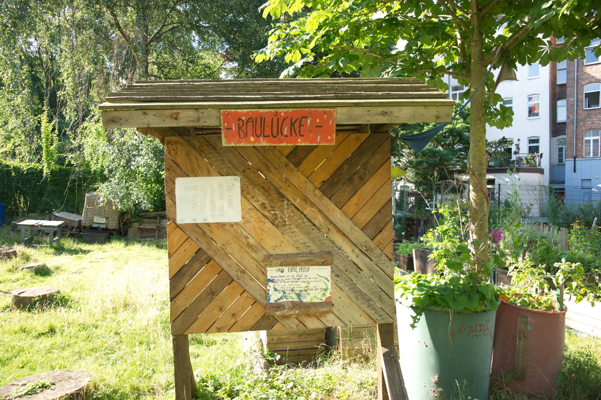 Fotos aus dem Garten Baulücke