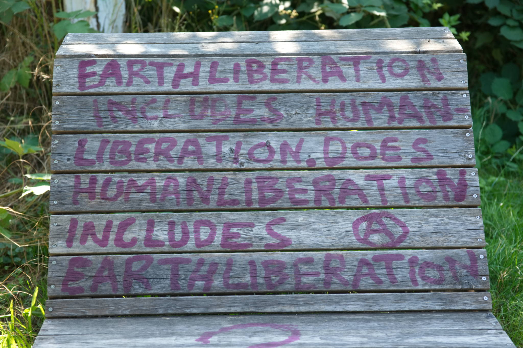 20230708 Urbane PK 017