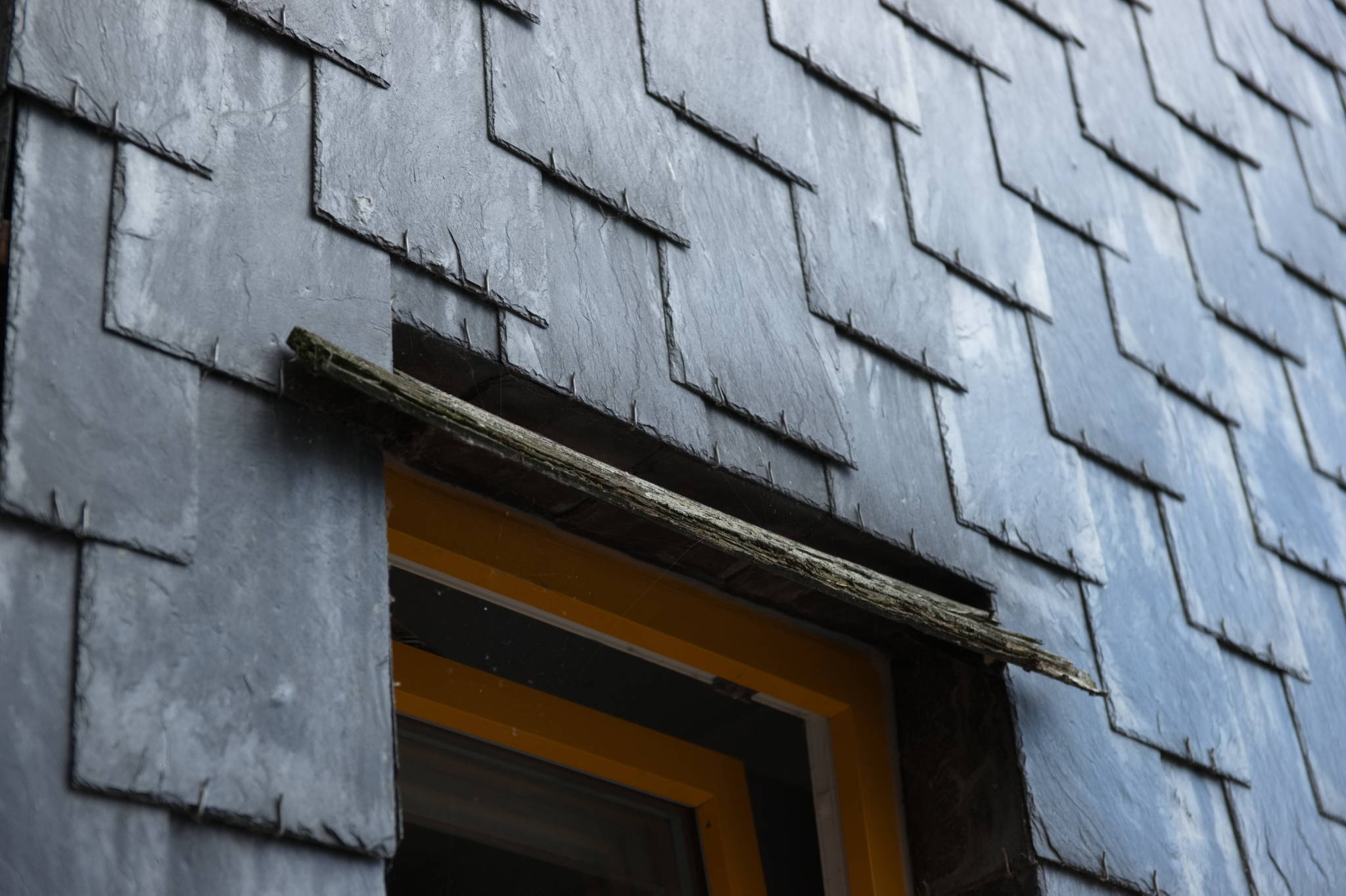 20230706 Urbane PK 027