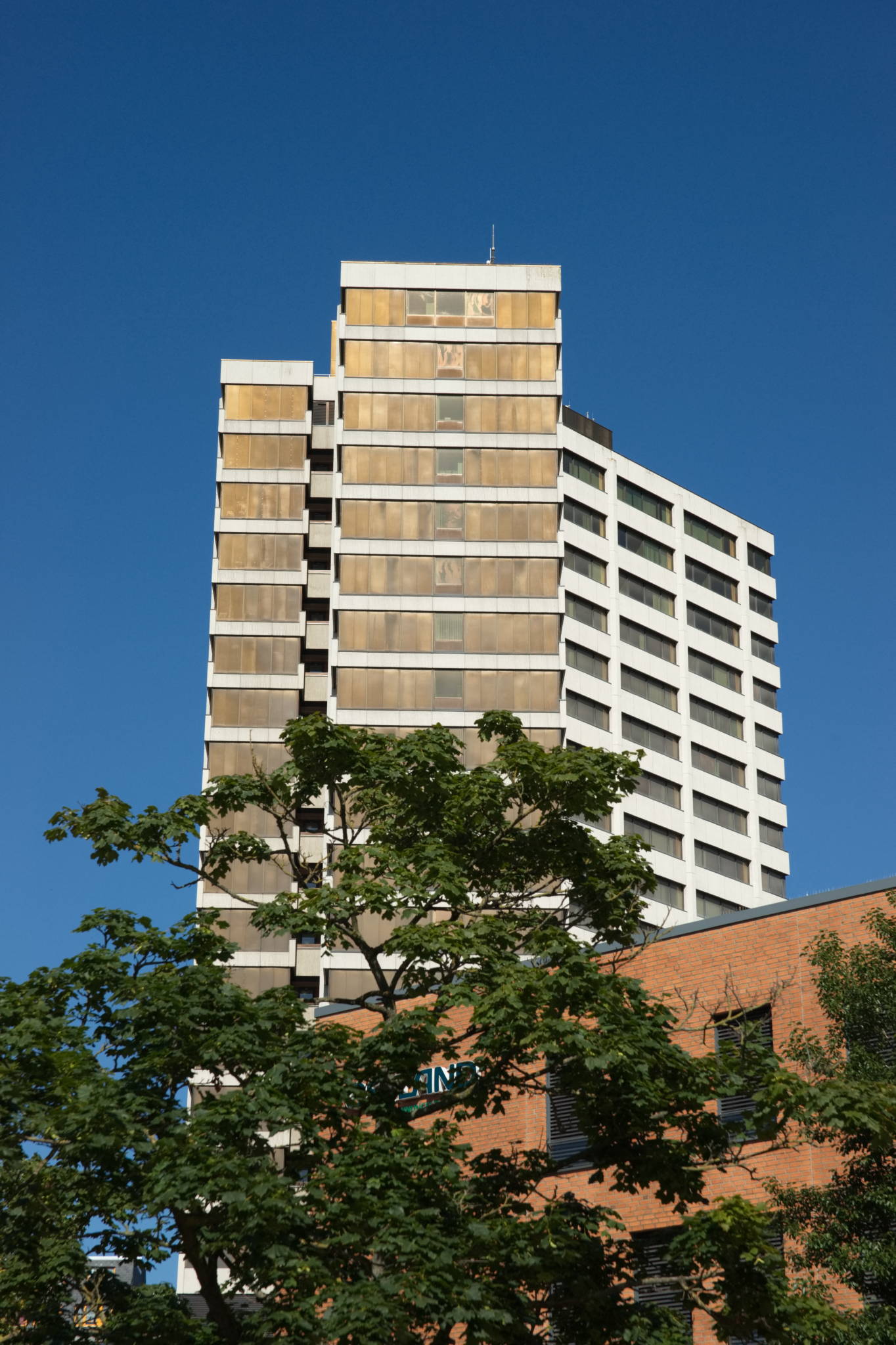 20230707 Urbane PK 099