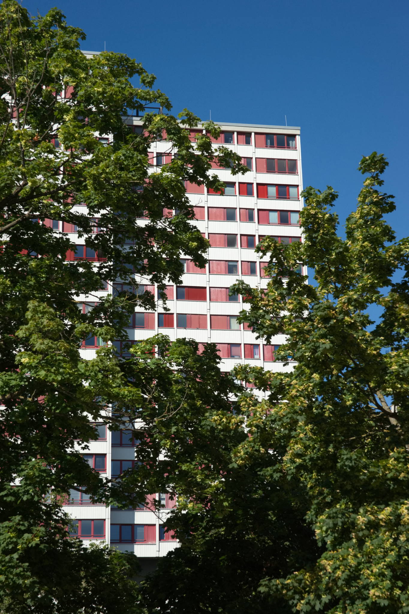 20230707 Urbane PK 100