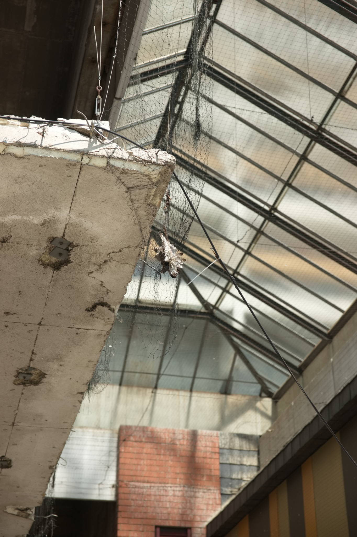 20230708 Urbane PK 037