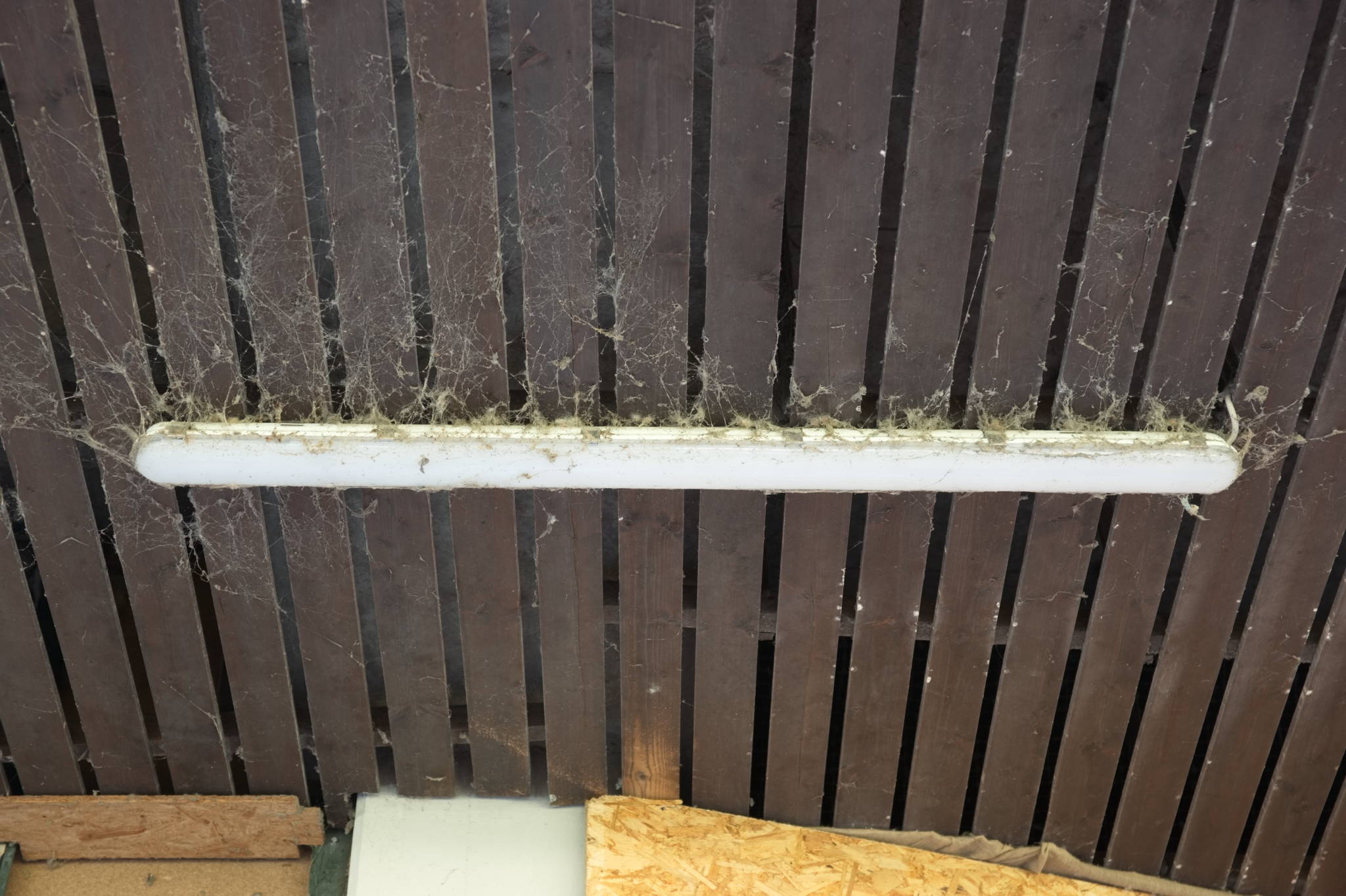 20230708 Urbane PK 048