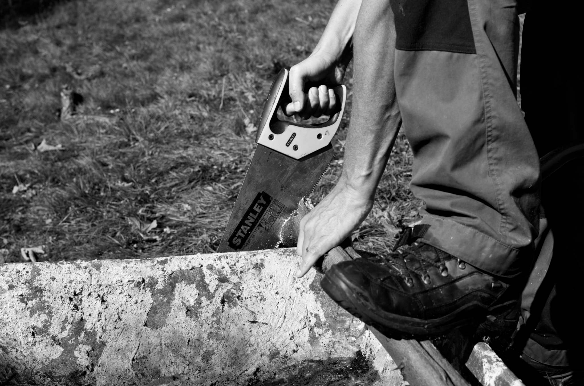 20221004 Waldgarten 30