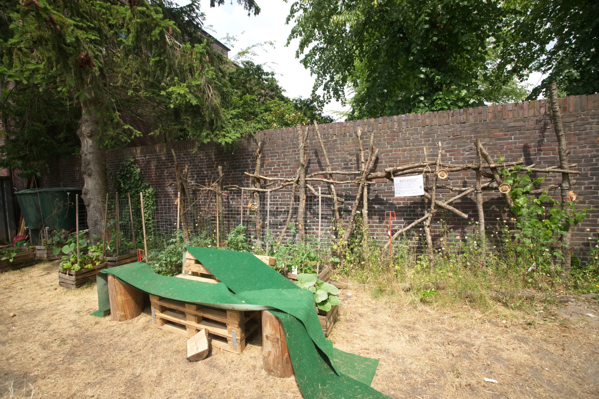 20230619 Gruen(t)raum Heimfeld 002