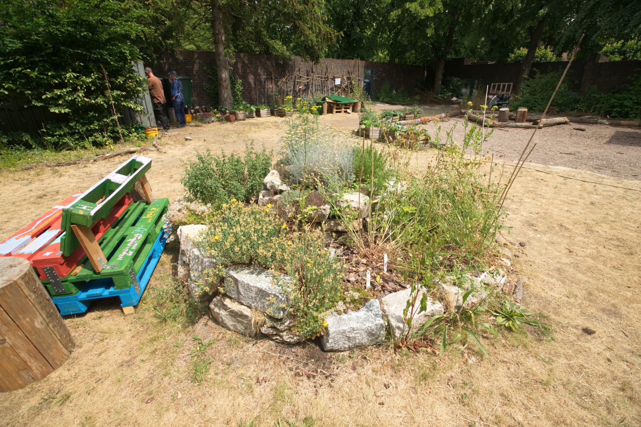 20230619 Gruen(t)raum Heimfeld 005