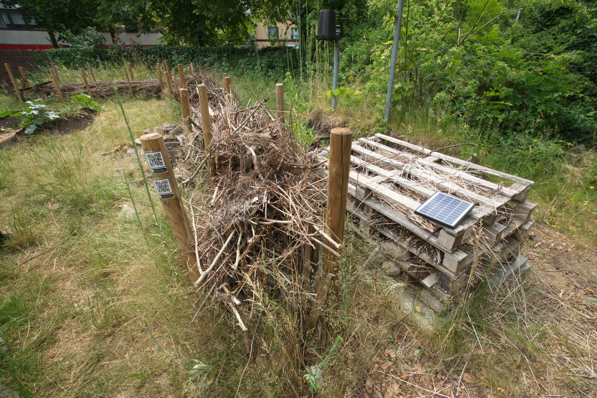 20230619 Gruen(t)raum Heimfeld 018