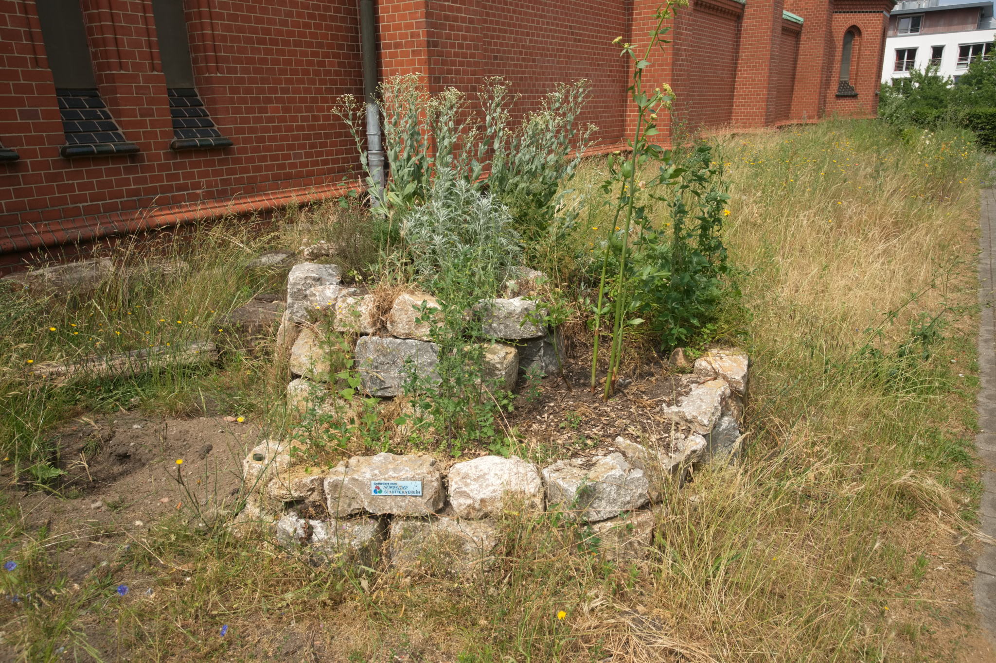 20230619 Gruen(t)raum Heimfeld 023