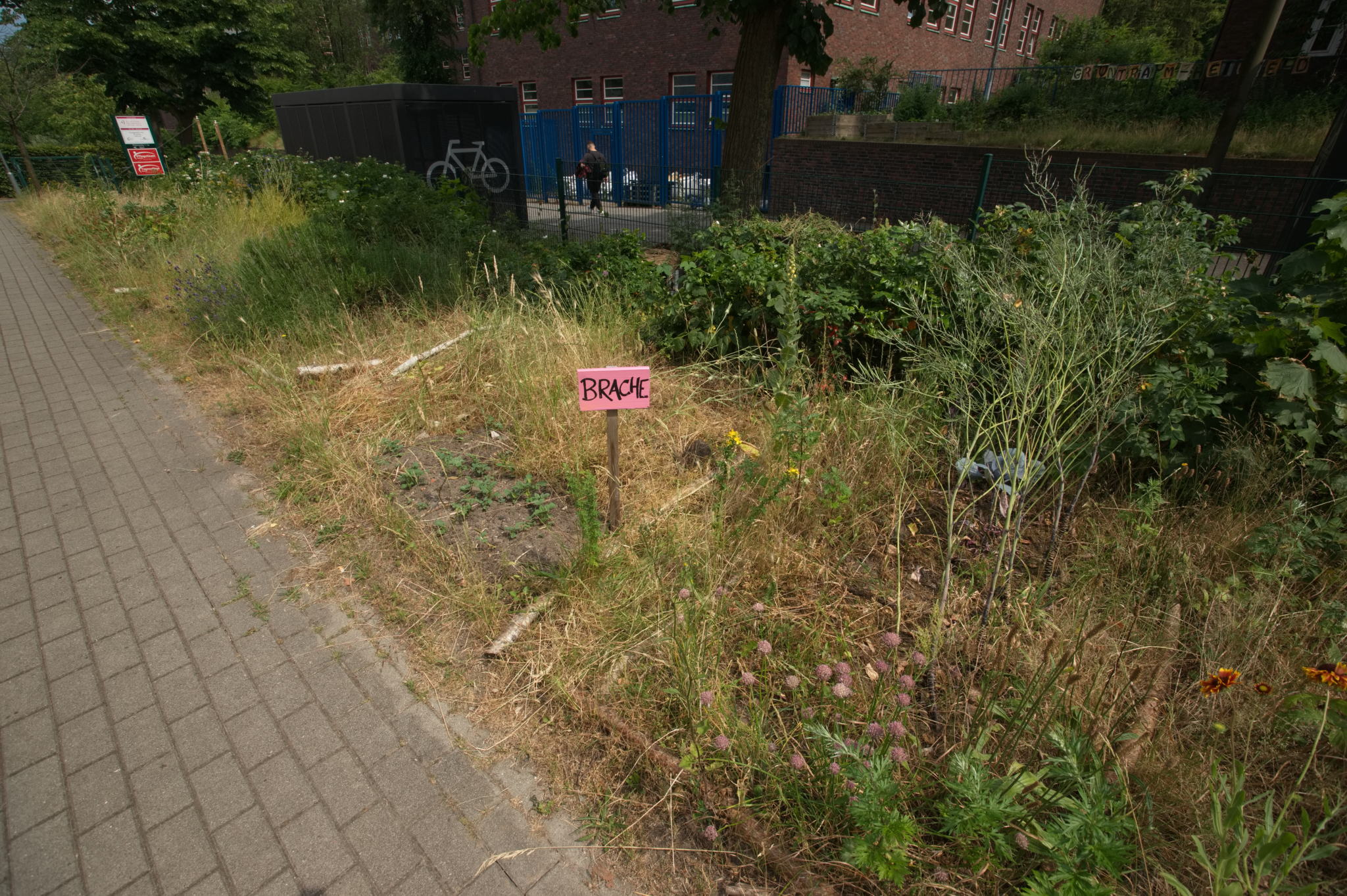 20230619 Gruen(t)raum Heimfeld 024