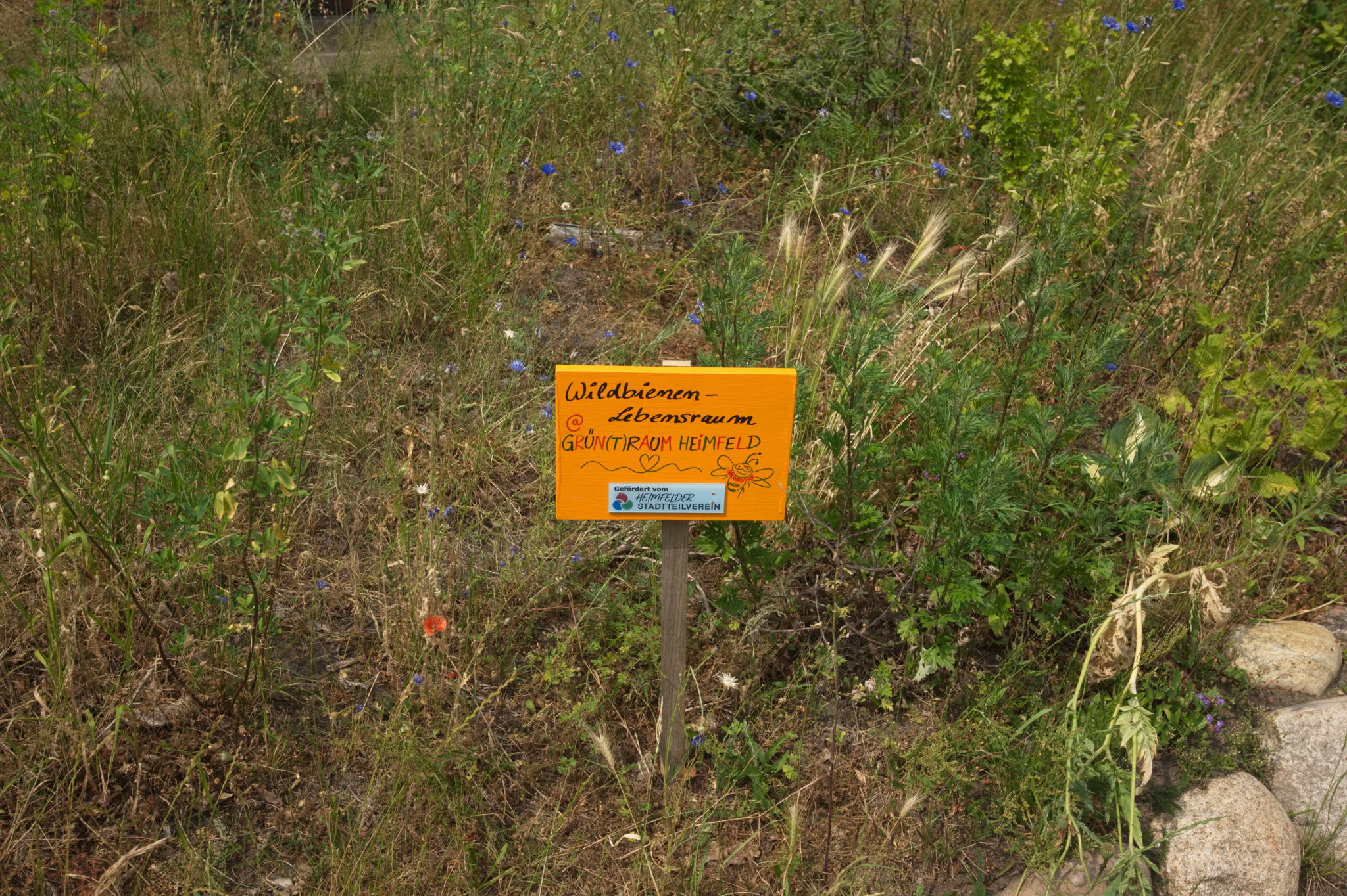 20230619 Gruen(t)raum Heimfeld 026