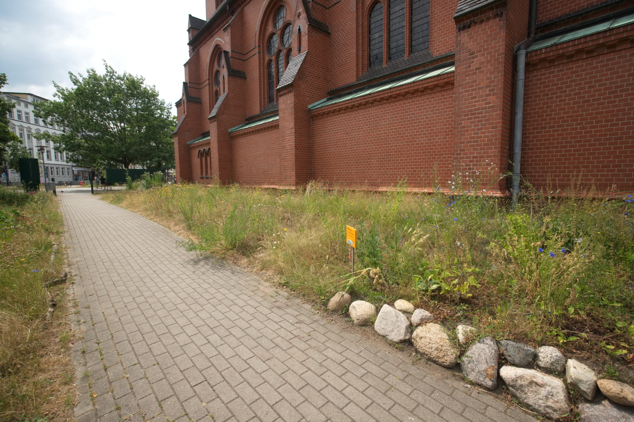 20230619 Gruen(t)raum Heimfeld 028